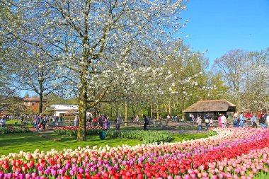 Lisse, Hollanda - 21 Nisan 2018: Keukenhof bahçeleri ve güzel çiçek yatakları.