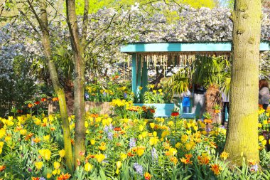 Lisse, Hollanda - 21 Nisan 2018: Keukenhof bahçeleri ve güzel çiçek yatakları.