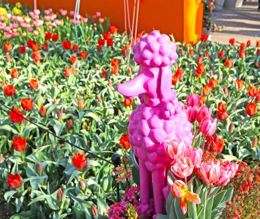 Lisse, Hollanda - 21 Nisan 2018: Keukenhof bahçeleri ve güzel çiçek yatakları.