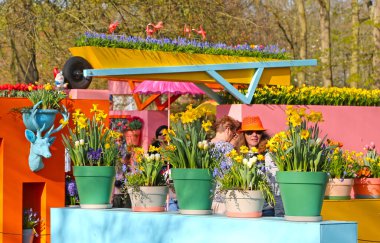 Lisse, Hollanda - 21 Nisan 2018: Keukenhof bahçeleri ve güzel çiçek yatakları.