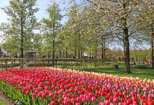 Lisse Niederlande April 2018 Keukenhof Gärten Mit Schönen Blumenbeeten — Stockfoto