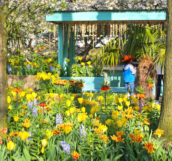Lisse, Hollanda - 21 Nisan 2018: Keukenhof bahçeleri ve güzel çiçek yatakları.