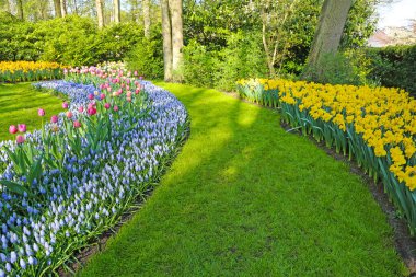 Lisse, Hollanda - 21 Nisan 2018: Keukenhof bahçeleri ve güzel çiçek yatakları.