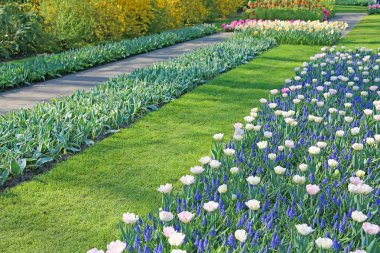 Lisse, Hollanda - 21 Nisan 2018: Keukenhof bahçeleri, çiçek desenli pavyon