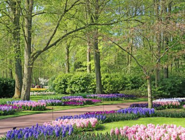 Lisse, Hollanda - 21 Nisan 2018: Keukenhof bahçeleri, çiçek desenli pavyon