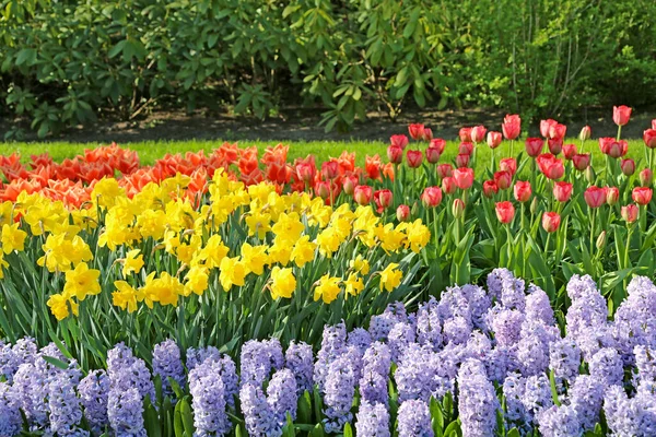 Lisse Netherlands April 2018 Keukenhof Gardens Pavilion Floral Design 로열티 프리 스톡 이미지