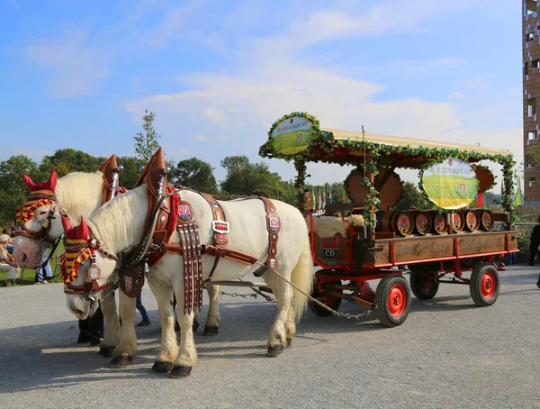 Carrinho de cavalo festivo com barris de vinho — Fotografia de Stock