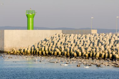 LNG terminali Swinoujscie, Polonya