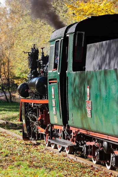 Seeschmalspurbahn — Stockfoto