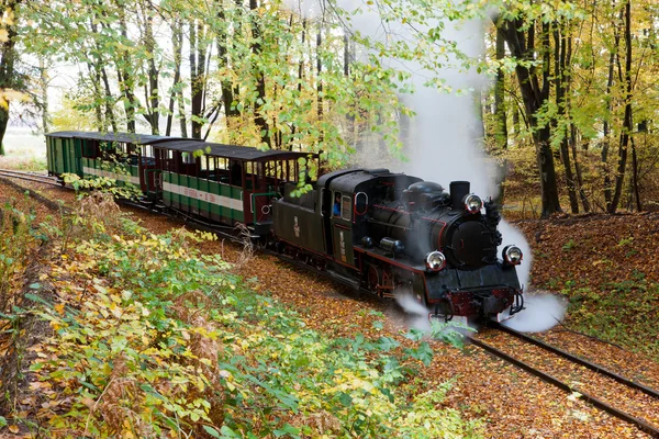 Seaside narrow-gauge railway owned by the city of Rewal — Φωτογραφία Αρχείου