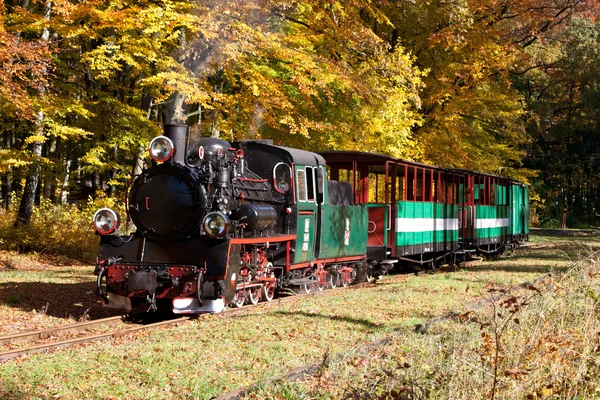 Seaside narrow-gauge railway owned by the city of Rewal Zdjęcie Stockowe