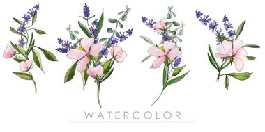 Bir buket kır çiçeği. Suluboya arkaplan, şablon, boş, desen.