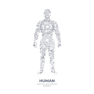 İnsan vücudunun çokgen el çizimini yönlendir