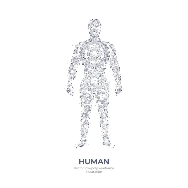 Dibujo de mano poligonal vectorial del cuerpo humano — Vector de stock