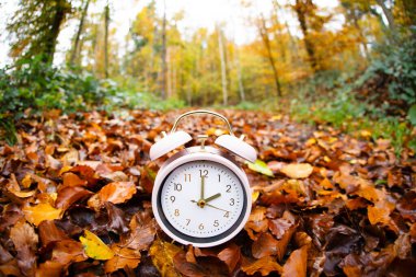 Kış zamanı değişiyor, gün ışığının sonu sonbaharda zaman tasarrufu, alarm saati geri düşüyor düğme, renkli yapraklı orman
