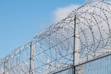 Barbed wire, border control, illegal immegration and migration, refugee camp, prison fence, coils of razor wires, protection and security concept