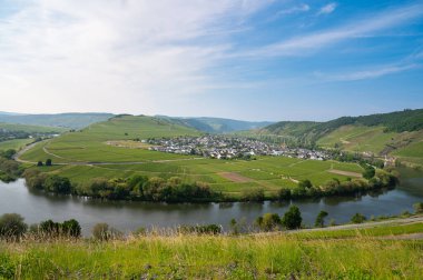 Trittenheim, Moselle Vadisi. Nehir, hava manzaralı, sarmaşıkta yetişen şarap, üzüm bağı manzarası ve Almanya 'da tarım.