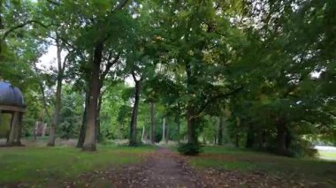 Yaprak döken ağaç ormanlarında, yaprak ve dallarda, yemyeşil yapraklarda, yazın ağaçlık alanlarda, parklarda yürüyorum.