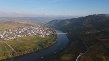 Trittenheim, Moselle Vadisi 'nde Mosel nehri döngüsü, hava manzarası, sarmaşıkta yetişen şarap, sonbaharda üzüm bağları, Almanya' da tarım...