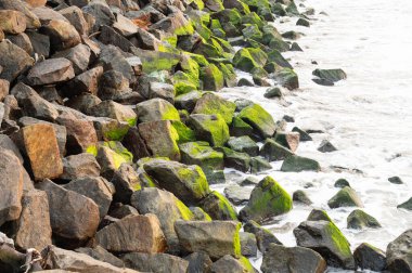 Rocky sahili, yosun kaplı kayalara karşı deniz dalgası turları, Fort Beach Kochi n Kerala, Hindistan, Arap denizi.
