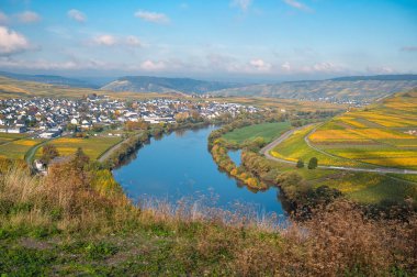 Moselle Vadisi, Mosel nehri döngüsü, hava manzarası, sarmaşıkta büyüyen şarap, sonbaharda üzüm bağları, Leiwen, Almanya 'da tarım