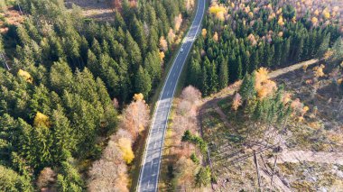 Sonbaharda yaprak döken ve kozalaklı orman manzarası, sonbahar renkli ağaç yaprağı, Almanya, ekosistem ormanı, seyahat ve çevre, hava manzarası