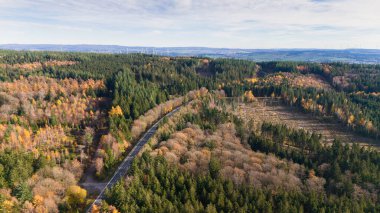 Sonbaharda yaprak döken ve kozalaklı orman manzarası, sonbahar renkli ağaç yaprağı, Almanya, ekosistem ormanı, seyahat ve çevre, hava manzarası