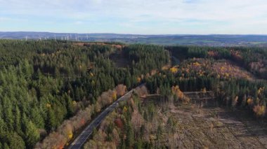 Sonbaharda yaprak döken ve kozalaklı orman manzarası, sonbahar renkli ağaç yaprağı, Almanya, ekosistem ormanı, seyahat ve çevre, hava manzarası