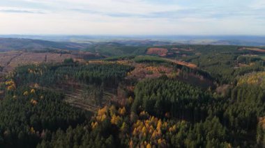 Sonbahar yaprak döküntüsü ve kozalaklı orman manzarası, sonbahar renkli ağaç yaprağı, Rhineland Palatinate 'de doğa, Almanya, ekosistem ormanları, çevre, hava manzarası