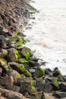 Rocky sahili, yosun kaplı kayalara karşı deniz dalgası turları, Fort Beach Kochi n Kerala, Hindistan, Arap denizi.