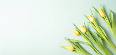 Anneler günü için tebrik kartı, Paskalya bayramı, doğum günü, sevgililer günü, bahar sezonu, sarı lale çiçeği arka planı