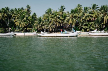 Palmiye ağacı adası ve Goa, Güney Hindistan 'da Coco sahilinde tekneler, tropikal batı kıyısı, Asya' da Arap Denizi, seyahat varış noktası