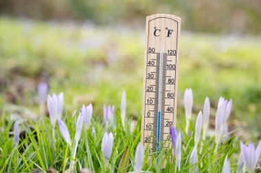 İlkbahar otlağında kır çiçekleri olan termometre, güneşli bir gün, sıcaklığı ölç, hava tahmini