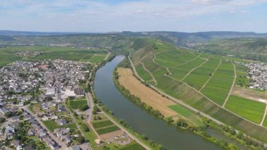 Leiwen ve Trittenheim, Mosel nehri döngüsüne sahip Moselle Vadisi, hava manzarası, sarmaşıkta yetişen şarap, üzüm bağı manzarası, tarım, Almanya