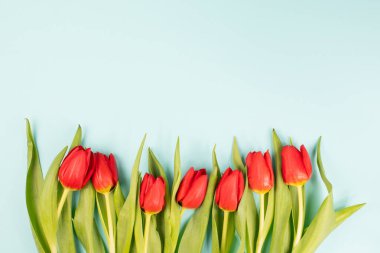 Anneler günü için tebrik kartı, Paskalya bayramı, doğum günü, sevgililer günü, bahar sezonu, kırmızı lale çiçeği geçmişi.