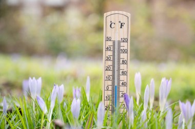 Baharda güneşli bir günde ölçüm sıcaklığı, çayır üzerinde çiçek olan termometre, hava tahmini