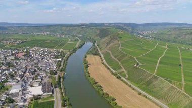Leiwen, Mosel nehri döngüsüne sahip Moselle Vadisi, hava manzarası, sarmaşıkta yetişen şarap, üzüm bağı manzarası ve Almanya 'da tarım.