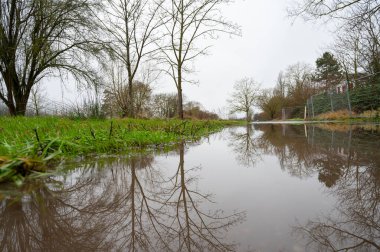 Moselle Nehri 'nde sel, Trier, Almanya' da yol ve ağaçlar sel altında, iklim değişikliği, çevre, şiddetli yağmur, yükselen su seviyeleri