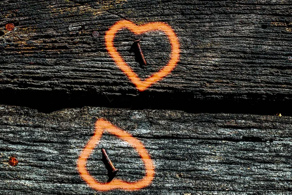 El corazón de la madera . —  Fotos de Stock