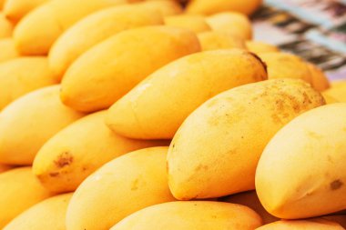Üst üste yerleştirilmiş olgun Mango