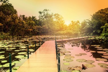 Gölette ahşap köprü 