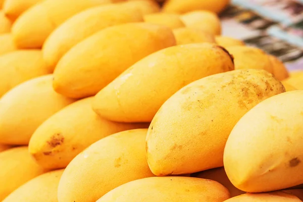 Ripe mangoes placed in a row — Stock Photo, Image