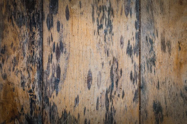 Wooden plate with black from mold — Stock Photo, Image