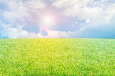 çim gökyüzü ile.