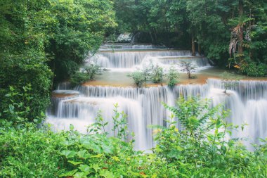 Tayland ormanında güzel bir şelale.
