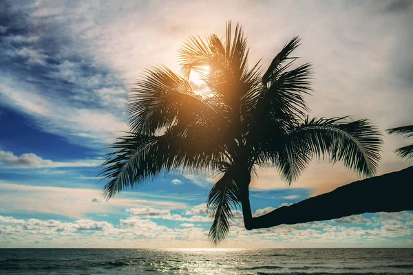 Palme Auf See Mit Sonnenuntergang Thailand — Stockfoto