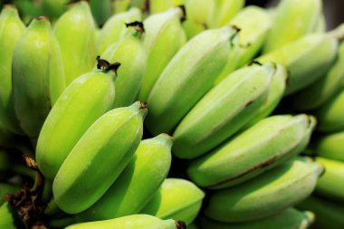 Çiftlikte çiğ muz ve güneş ışığı.