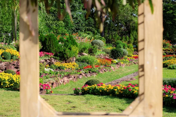 Blume Und Rahmen Mit Sonnenlicht Garten — Stockfoto