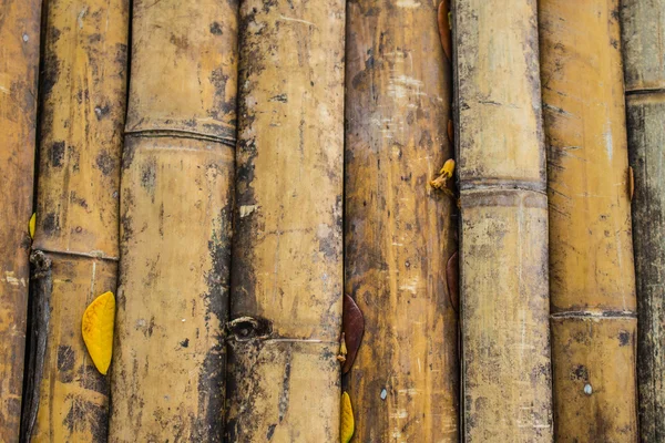 Bamboe oppervlak — Stockfoto