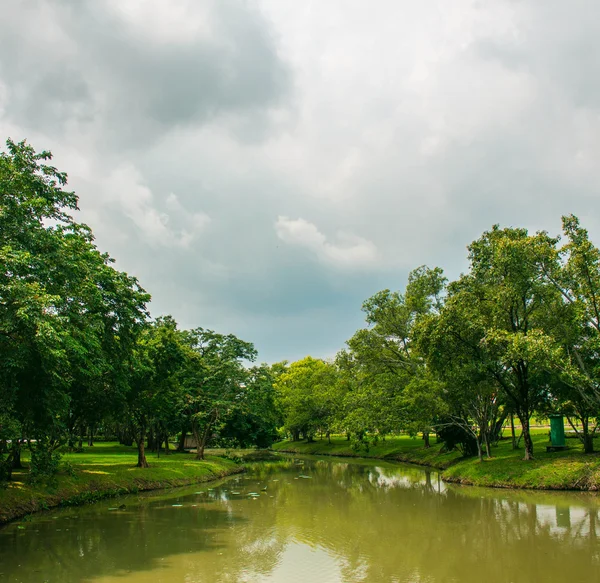 Pond and trees — Stock Photo, Image